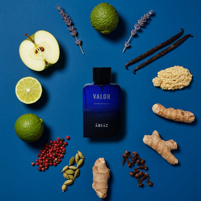 ARIAZ Valor