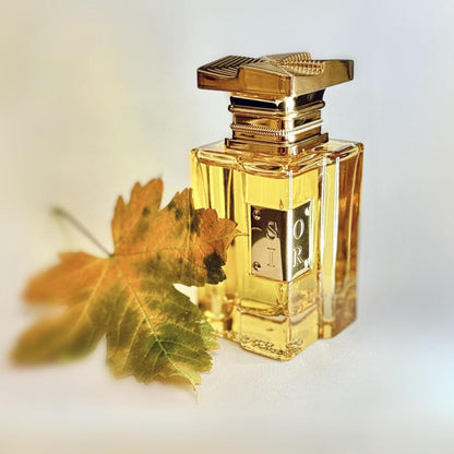 Fragrance World Soir